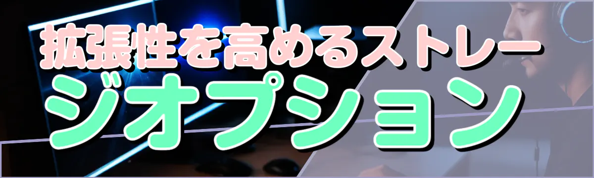 拡張性を高めるストレージオプション
